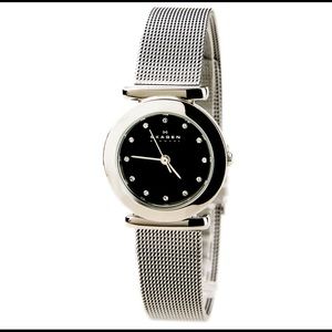 Skagen Silver Mesh With Black Dial And Crystal Markers
